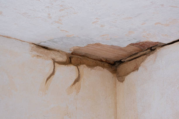 Trusted Water Damage Restoration in Millville, UT | Fast, Reliable, and Ready to Assist You